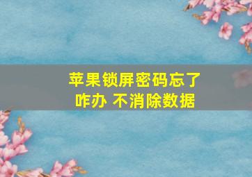 苹果锁屏密码忘了咋办 不消除数据